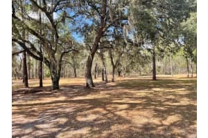 4060 166TH COURT, OCALA, FL 34481 - MLS#MFROM720084