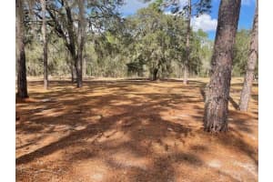 4060 166TH COURT, OCALA, FL 34481 - MLS#MFROM720084