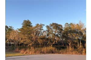 SW 98TH LN, OCALA, FL 34476 - MLS#MFROM720106