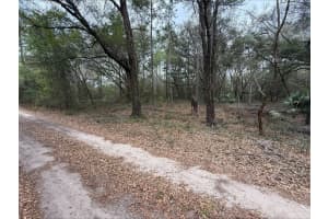 00 9TH PLACE, OCALA, FL 34481 - MLS#MFROM720108