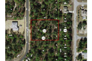 4035 ABELINE DRIVE, CITRUS SPRINGS, FL 34433 - MLS#MFROM720129