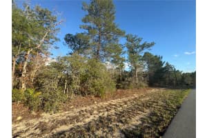 4035 ABELINE DRIVE, CITRUS SPRINGS, FL 34433 - MLS#MFROM720129