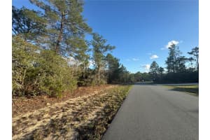 4035 ABELINE DRIVE, CITRUS SPRINGS, FL 34433 - MLS#MFROM720129