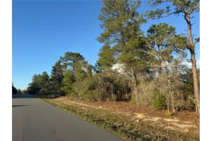 4035 ABELINE DRIVE, CITRUS SPRINGS, FL 34433 - MLS#MFROM720129