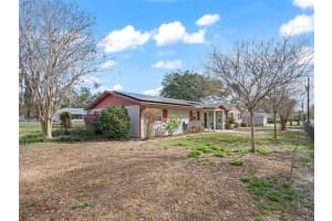 8667 157TH PLACE, SUMMERFIELD, FL 34491 - MLS#MFROM720172