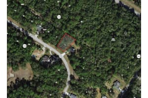 425 ELGROVE DRIVE, CITRUS SPRINGS, FL 34434 - MLS#MFROM720219