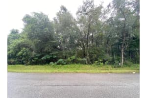 425 ELGROVE DRIVE, CITRUS SPRINGS, FL 34434 - MLS#MFROM720219