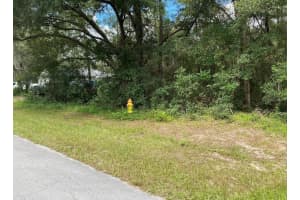 425 ELGROVE DRIVE, CITRUS SPRINGS, FL 34434 - MLS#MFROM720219