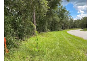 425 ELGROVE DRIVE, CITRUS SPRINGS, FL 34434 - MLS#MFROM720219