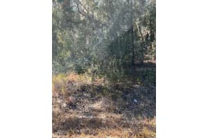 TBD LOCUST PASS LOOP, OCALA, FL 34472 - MLS#MFROM720220