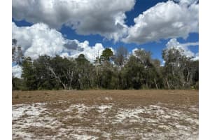 MLS# MFROM720237, Dunnellon, Florida 34434