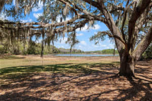 11990 112TH AVENUE ROAD, BELLEVIEW, FL 34420 - MLS#MFROM720274