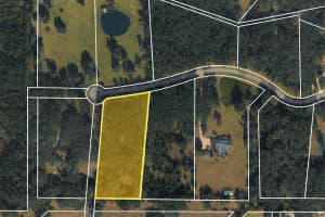 11 144TH COURT, OCALA, FL 34481 - MLS#MFROM720280