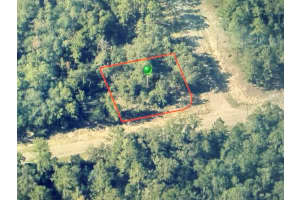 746 ELSTON PLACE, CITRUS SPRINGS, FL 34434 - MLS#MFROM720313