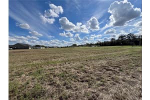 000 NW 79TH LOOP #Lot 14, OCALA, FL 34475 - MLS#MFROM720335
