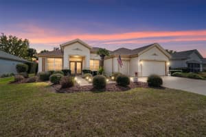 8788 130TH LOOP, SUMMERFIELD, FL 34491 - MLS#MFROM720342