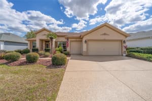 8788 130TH LOOP, SUMMERFIELD, FL 34491 - MLS#MFROM720342