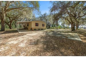 5590 E HIGHWAY 316, CITRA, FL 32113 - MLS#MFROM720347