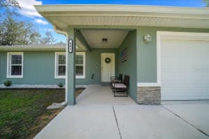 41 FISHER WAY RUN, OCKLAWAHA, FL 32179 - MLS#MFROM720362