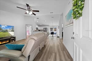 41 FISHER WAY RUN, OCKLAWAHA, FL 32179 - MLS#MFROM720362