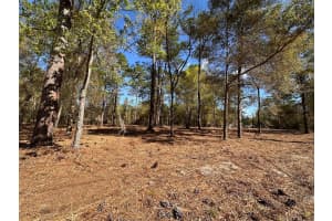 0 W HWY 40, OCALA, FL 34481 - MLS#MFROM720378