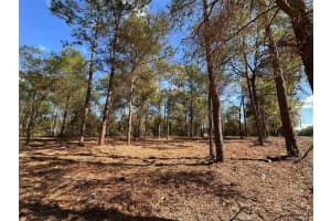 0 W HWY 40, OCALA, FL 34481 - MLS#MFROM720384