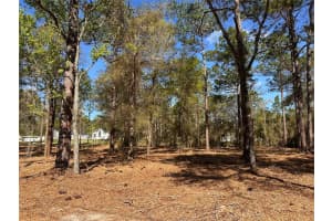 0 W HWY 40, OCALA, FL 34481 - MLS#MFROM720384