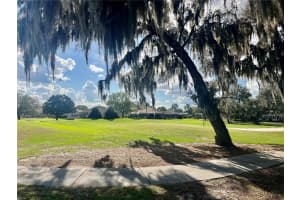 430 ALDAMA AVENUE, LADY LAKE, FL 32159 - MLS#MFROM720396