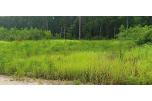 SW 18 ST, OCALA, FL 34481 - MLS#MFROM720405