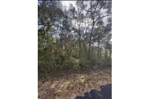 TBD LOCUST LOOP TERRACE, OCALA, FL 34472 - MLS#MFROM720445