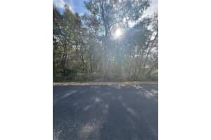 TBD LOCUST LOOP TERRACE, OCALA, FL 34472 - MLS#MFROM720445