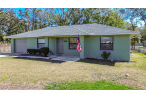 14405 36TH AVENUE, SUMMERFIELD, FL 34491 - MLS#MFROM720448