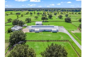 1350 105TH LANE, ANTHONY, FL 32617 Sold 04/02/26