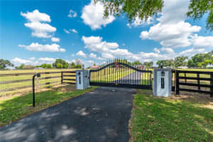 13025 GAINESVILLE ROAD, REDDICK, FL 32686 - MLS#MFROM720462