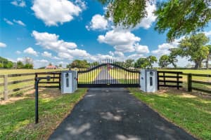 13025 GAINESVILLE ROAD, REDDICK, FL 32686 - MLS#MFROM720462