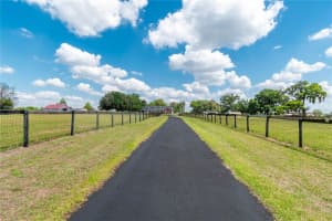 13025 GAINESVILLE ROAD, REDDICK, FL 32686 - MLS#MFROM720462