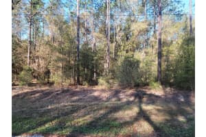 00 133RD COURT, OCALA, FL 34481 - MLS#MFROM720474