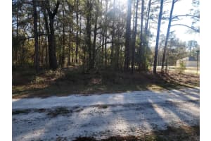 00 133RD COURT, OCALA, FL 34481 - MLS#MFROM720474