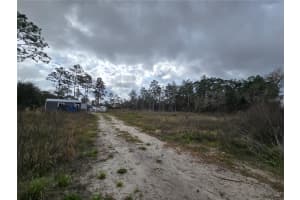 0000 128TH AVENUE, DUNNELLON, FL 34431 - MLS#MFROM720503