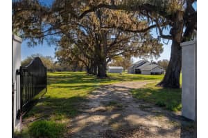 15157 112TH PLACE ROAD, MORRISTON, FL 32668 - MLS#MFROM720512