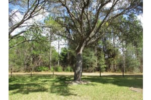 14464 112TH CIRCLE, DUNNELLON, FL 34432 - MLS#MFROM720538