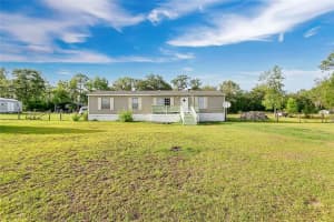 12531 18TH STREET, WILLISTON, FL 32696 - MLS#MFROM720577