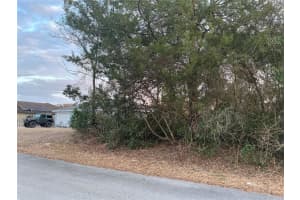 SW 138TH ST, OCALA, FL 34473 - MLS#MFROM720578