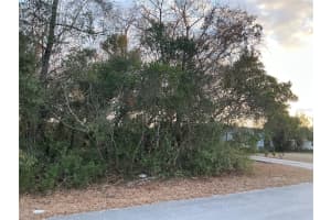 SW 138TH ST, OCALA, FL 34473 - MLS#MFROM720578