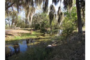 11931 BEARL TERRACE, DUNNELLON, FL 34433 - MLS#MFROM720614