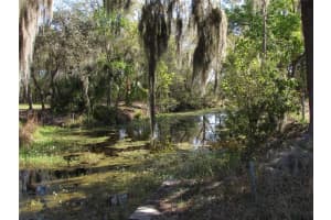 11931 BEARL TERRACE, DUNNELLON, FL 34433 - MLS#MFROM720614