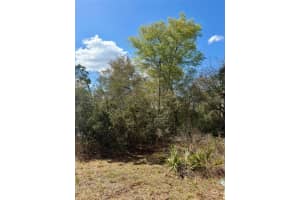 15575 234TH PLACE, FORT MC COY, FL 32134 - MLS#MFROM720618