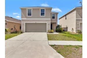 602 OLIVE CONCH STREET, RUSKIN, FL 33570 - MLS#MFROM720652