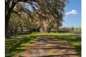 1100 110TH AVENUE, OCALA, FL 34481 - MLS#MFROM720691