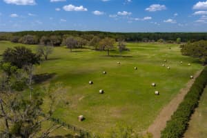 1100 110TH AVENUE, OCALA, FL 34481 - MLS#MFROM720691